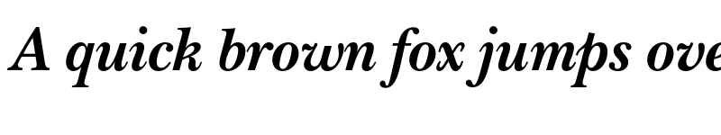 Preview of NewBaskervilleC Bold Italic