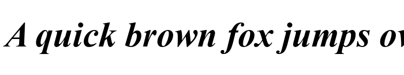 Preview of Times New Roman Bold Italic